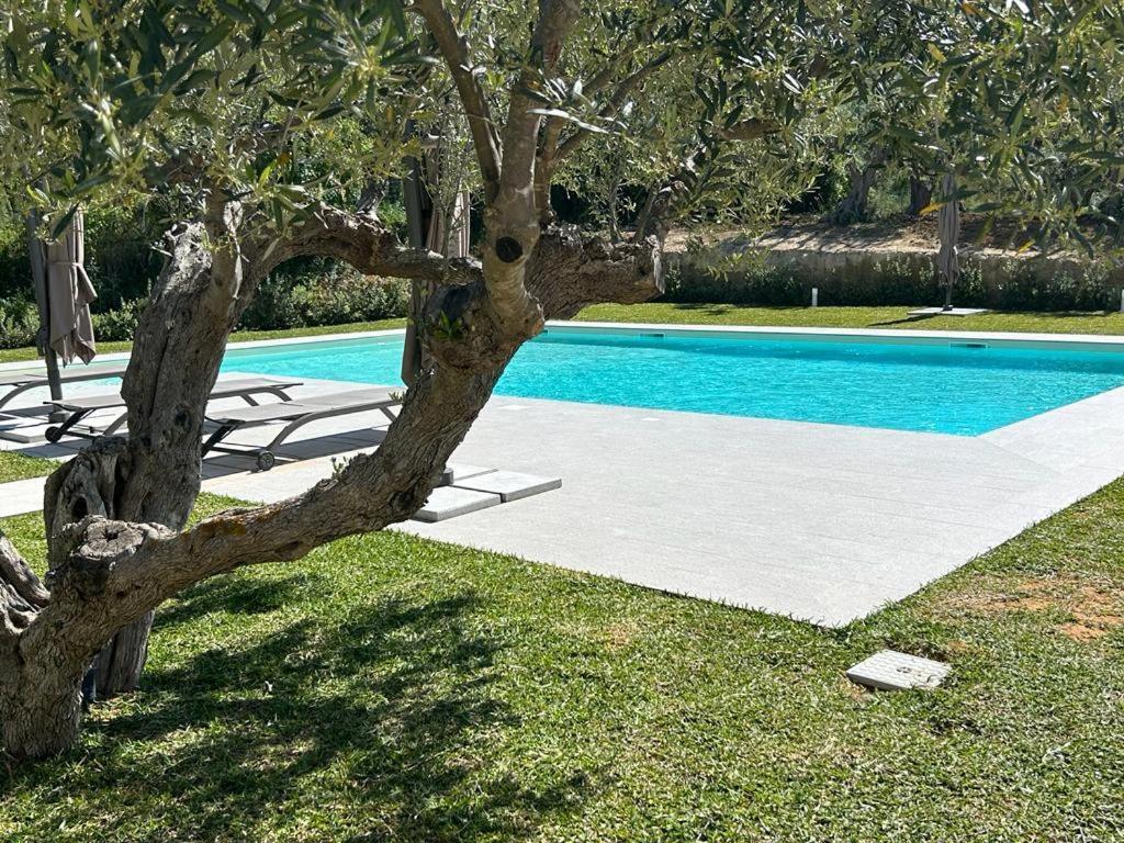 Civetta Blu Bed & Breakfast Castellammare del Golfo Dış mekan fotoğraf
