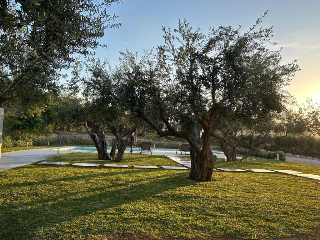 Civetta Blu Bed & Breakfast Castellammare del Golfo Dış mekan fotoğraf