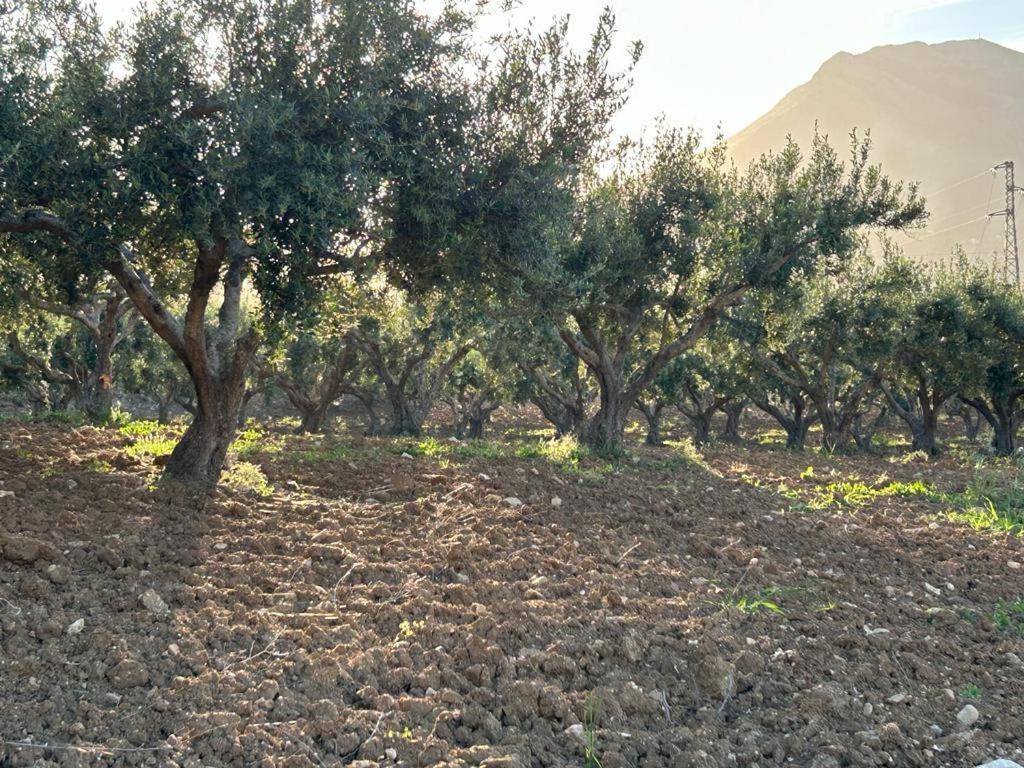 Civetta Blu Bed & Breakfast Castellammare del Golfo Dış mekan fotoğraf